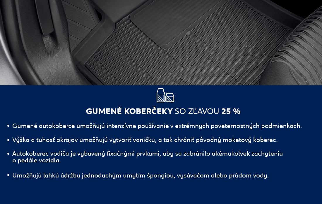 STREŠNÉ BOXY