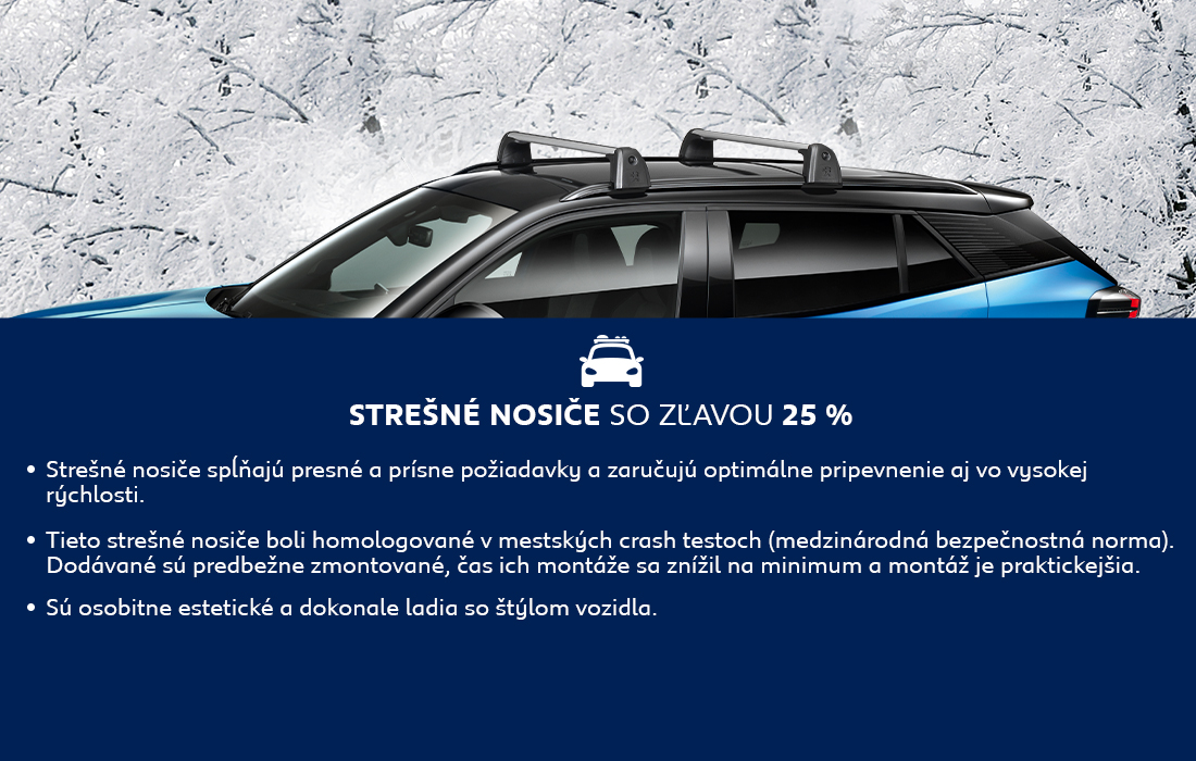 STREŠNÉ NOSIČE
